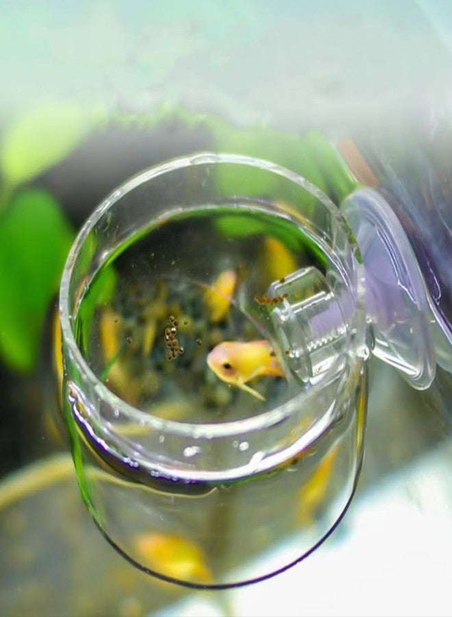 Capiant 2 Pack 60mm Aquarium Shrimp Feeder Dish with Suction Round Clear Fish Tank Food Tray Container Feeder Bowl Prevent Food Spilling - Image 4